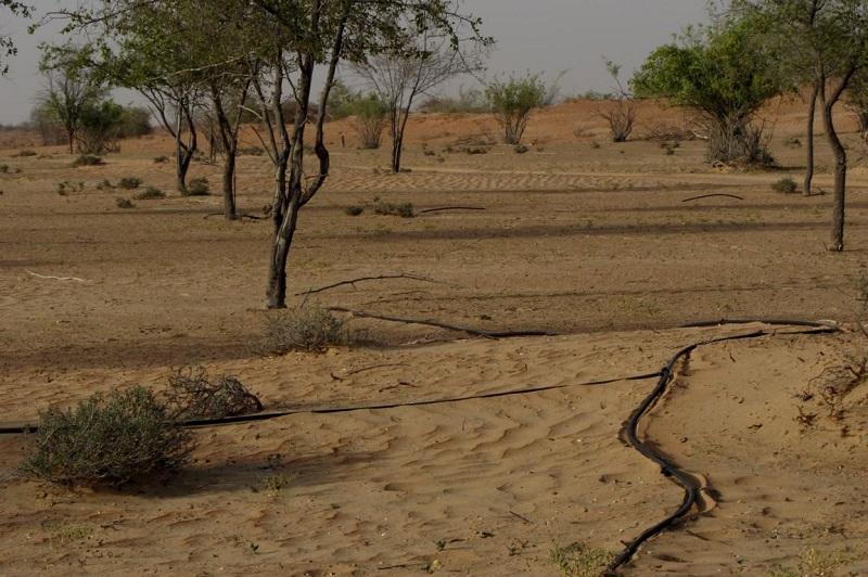 Al Maha Resort Dubai water irrigation system