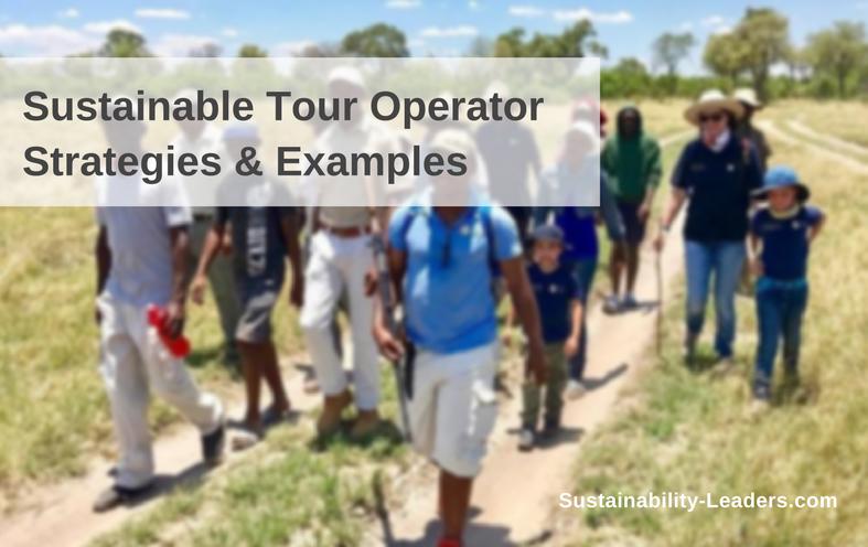 Sustainable tour operator strategies and examples