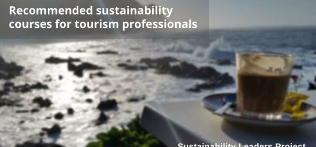 Which Are the Best Sustainability Courses for Tourism Professionals? Sustainability courses for tourism professionals