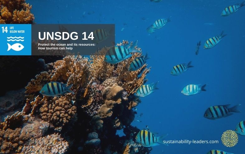 UNSDG 14 Protect the Ocean and Marine Life